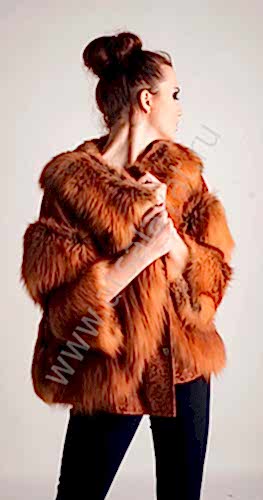 Главная Главная