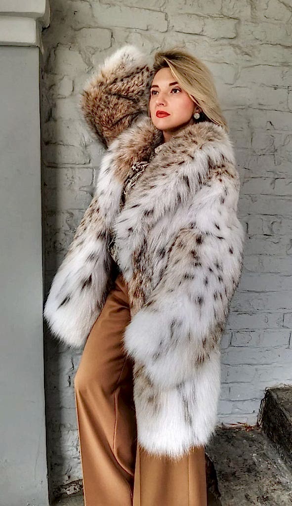 Главная Главная