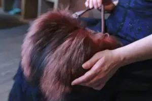 Какой подарок подарить женщине?!