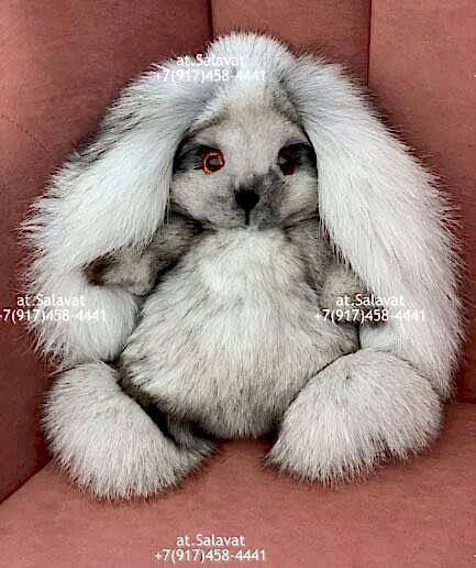 Заяц коллекционный Заяц коллекционный