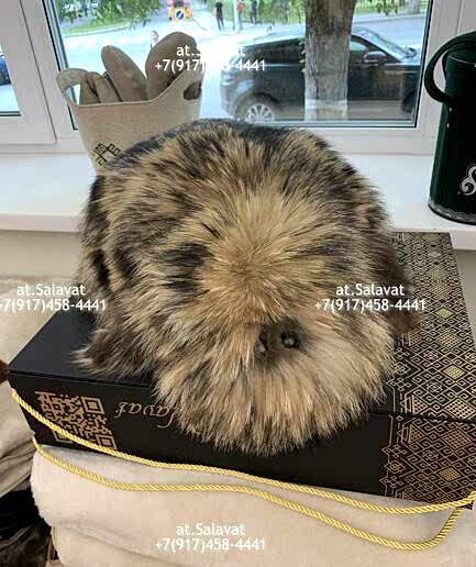 Заяц коллекционный Интерьерная игрушка