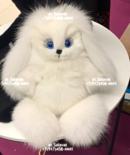 Заяц коллекционный Заяц коллекционный