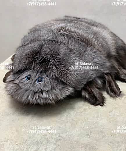 Заяц коллекционный Интерьерная игрушка