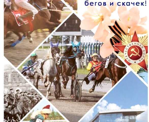 Мы всех обскакали! Мы всех обскакали!